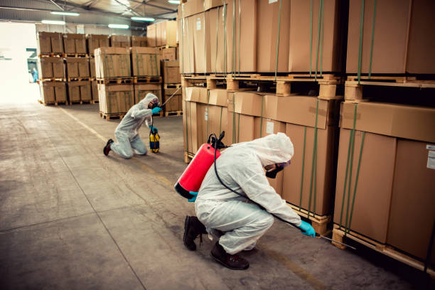 Best Bed Bug Extermination  in Buffalo Center, IA