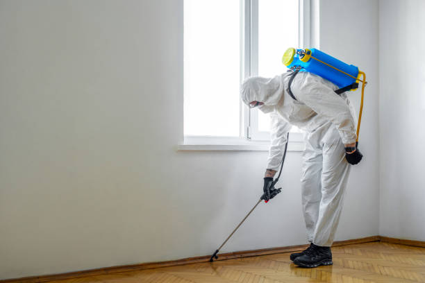 Best Mosquito Control Services  in Buffalo Center, IA