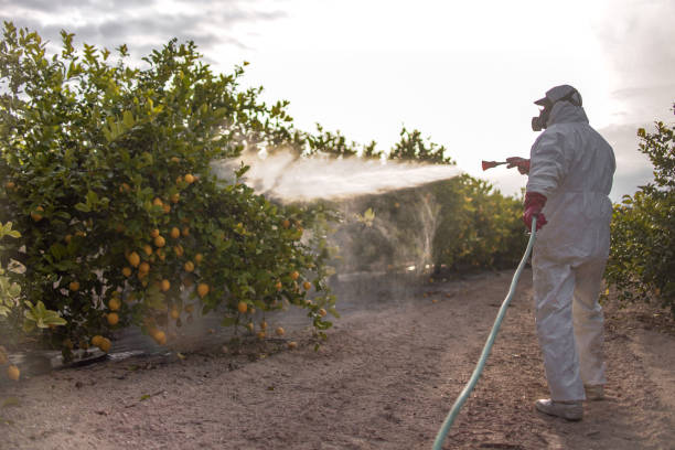 Best Pest Control Cost  in Buffalo Center, IA